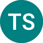 Test Stock 15 (TE15)のロゴ。