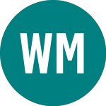 Wolfson Microelectronics (WLF)のロゴ。