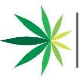 American Cannabis (QB) (AMMJ)のロゴ。