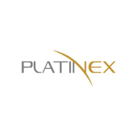 PTX Metals (QB) (PANXF)のロゴ。