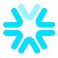 Volpara Health Technolog... (VHT)のロゴ。