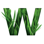 Wattle Health Australia (WHA)のロゴ。