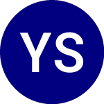 Yieldmax Short Tsla Opti... (CRSH)のロゴ。