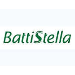 BTTL3 - BATTISTELLA ON Financials