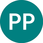 Plutus Powergen (PPG)のロゴ。
