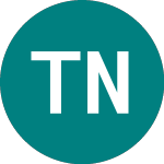  (TNS)のロゴ。