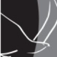 Eagle Graphite (CE) (APMFF)のロゴ。