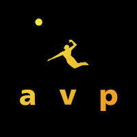 AVP (CE) (AVPI)のロゴ。
