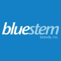 Bluestem Group Inc (CE)