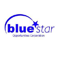 Blue Star Opportunities (PK) (BSTO)のロゴ。