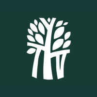 Banyon Tree (PK) (BYNEF)のロゴ。