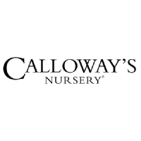Calloways Nursery (CE) (CLWY)のロゴ。
