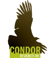 Condor Res (PK) (CNRIF)のロゴ。