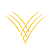 Golden Valley Bancshares (PK) (GVYB)のロゴ。