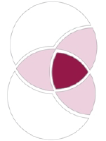 Hadasit Bio (CE) (HSITF)のロゴ。