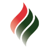 New Zealand Energy (PK) (NZERF)のロゴ。