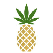 Pineapple (PK) (PNPL)のロゴ。