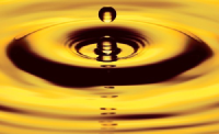 Precipitate Gold (QB) (PREIF)のロゴ。