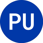 Platinum Underwritrs (PTP)のロゴ。