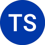 Tele Sudeste Cel (TSD)のロゴ。