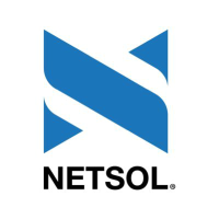 NetSol Technologies (NTWK)のロゴ。